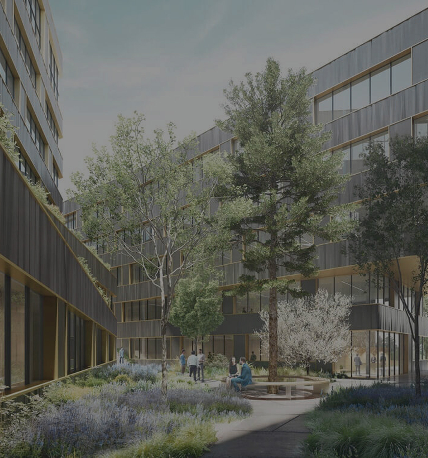 BAMO et coordination du centre Unisanté